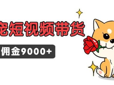 （6130）东哲日记·萌宠短视频带货，2天佣金9000+