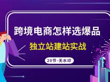 (6134)跨境电商怎样选爆品,独立站建站实战(20节高清无水印课)