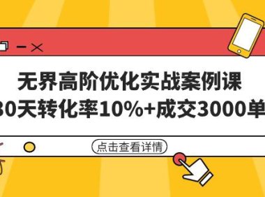 (6146)无界高阶优化实战案例课,30天转化率10%+成交3000单(8节课)