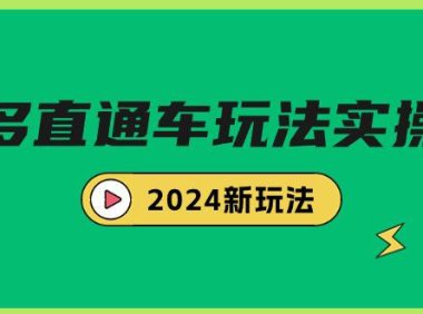 (6149)多多直通车玩法实战课,2024新玩法(7节课)