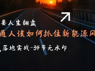 (6170)想要人生翻盘,普通人如何抓住新能源风口赚钱,落地实战案例课-34节