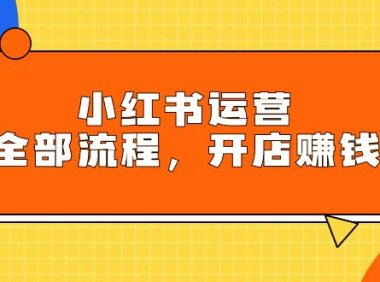 (6179)小红书运营全部流程,掌握小红书玩法规则,开店赚钱