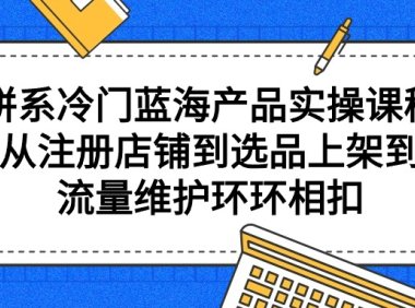 (6180)拼系冷门蓝海产品实操课程,从注册店铺到选品上架到流量维护环环相扣