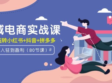 (6182)全域电商实战课:从入驻到盈利,带你玩转小红书+抖音+拼多多(80节课)