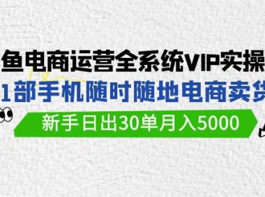 (6187)闲鱼电商运营全系统VIP实战课,1部手机随时随地卖货,新手日出30单月入5000