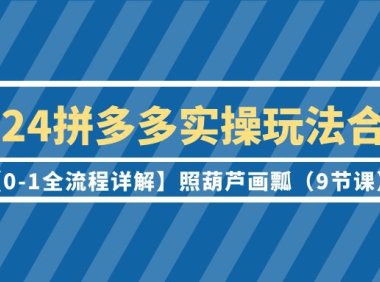 (6190)2024拼多多实操玩法合集【0-1全流程详解】照葫芦画瓢(9节课)