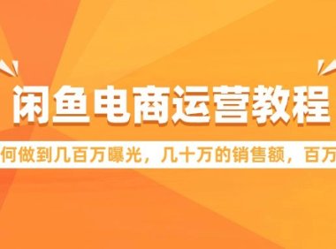 (6191)闲鱼电商运营教程:如何做到几百万曝光,几十万的销售额,百万利润