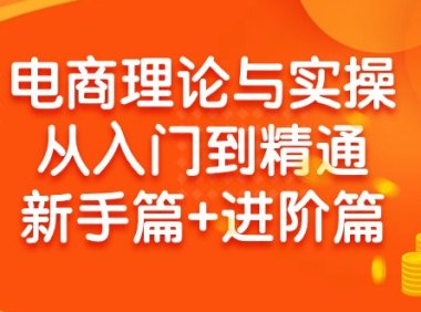 (6197)电商理论与实操从入门到精通:抖店+淘系+多多,新手篇+进阶篇