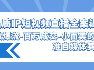 （6201）高品质 IP短视频直播-全案课程，有效爆流-百万成交-小而美的精准自媒体赛道
