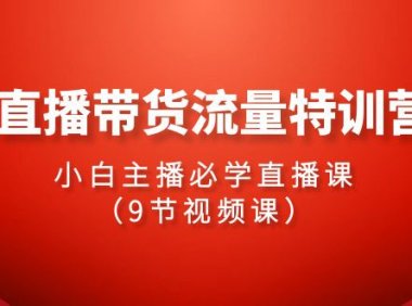 （6202）2024直播带货流量特训营，小白主播必学直播课（9节视频课）