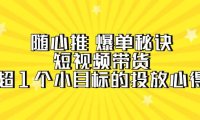 （6231）随心推 爆单秘诀，短视频带货-超1个小目标的投放心得（7节视频课）