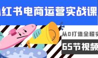 (6246)小红书电商运营实战课,从0打造全程实操(65节视频课)