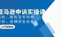(6252)亚马逊-申诉实战课,商标、版权及专利的申诉,店铺安全必备