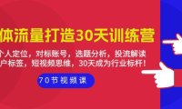 （6259）实体-流量打造-30天训练营：个人定位，对标账号，选题分析，投流解读-70节