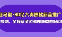 (6303)亚马逊30亿·大卖爆款新品推广,可复制、全程案例实操的爆款推新SOP