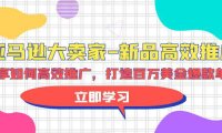 (6304)亚马逊 大卖家-新品高效推广,分享如何高效推广,打造百万美金爆款单品