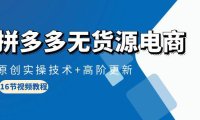 (6321)拼多多无货源电商,原创实操技术+高阶更新(16节视频教程)