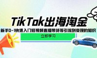 (6326)TikTok-出海淘金,新手0-1快速入门短视频直播带货等引流到变现的知识