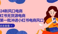 (6360)2024新风口电商,小红书无货源电商,带第一批冲进小红书电商风口(18节)
