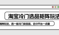 (6362)淘宝冷门选品矩阵玩法:换种玩法,选一些冷门类目品,去分平台一点羹