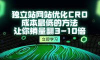 (6368)独立站网站优化CRO,成本最低的方法,让你销量翻3-10倍(5节课)