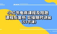 (6369)小红书电商课程陪跑课 课程反复听 实操随时讲解 (53节课)