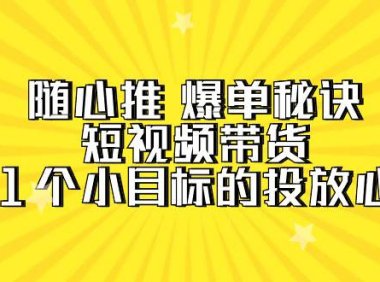 （6231）随心推 爆单秘诀，短视频带货-超1个小目标的投放心得（7节视频课）