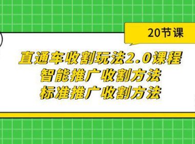 (6233)直通车收割玩法2.0课程:智能推广收割方法+标准推广收割方法(20节课)