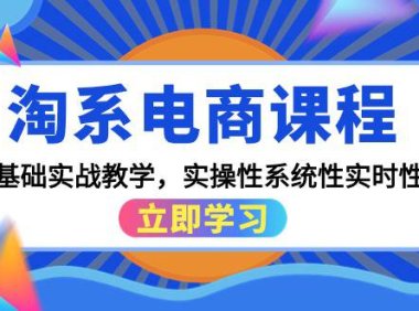 (6235)淘系电商课程,0基础实战教学,实操性系统性实时性(15节课)