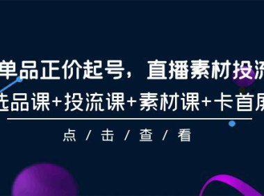 （6240）2024单品正价起号，直播素材投流选品，选品课+投流课+素材课+卡首屏-101节