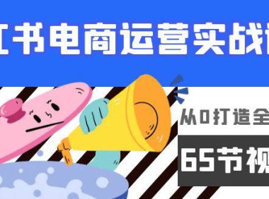 (6246)小红书电商运营实战课,从0打造全程实操(65节视频课)