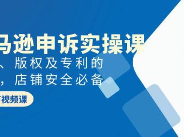 (6252)亚马逊-申诉实战课,商标、版权及专利的申诉,店铺安全必备