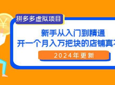 (6257)拼多多虚拟项目:入门到精通,开一个月入万把块的店铺 真不难(24年更新)