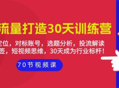 （6259）实体-流量打造-30天训练营：个人定位，对标账号，选题分析，投流解读-70节