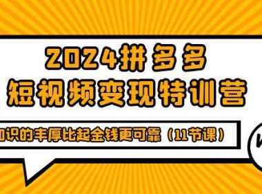 (6269)2024拼多多短视频变现特训营,知识的丰厚比起金钱更可靠(11节课)