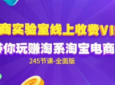 (6278)电商-实验室 线上收费VIP,带你玩赚淘系淘宝电商(245节课-全面版)