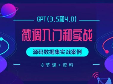 (6294)GPT(3.5和4.0)微调入门和实战,源码数据集实战案例(8节课+资料)