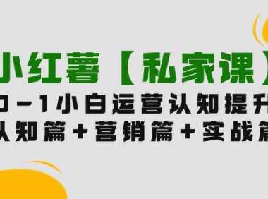 （6295）小红薯【私家课】0-1玩赚小红书内容营销，认知篇+营销篇+实战篇（11节课）