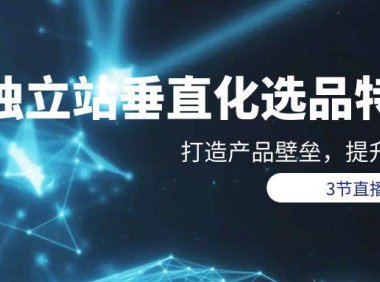 (6298)独立站-垂直化选品训练营,打造产品壁垒,提升网站利润(3节直播课)
