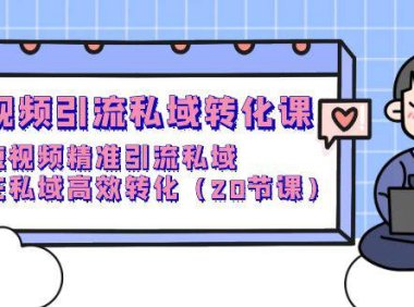 （6299）短视频引流 私域转化课，短视频精准引流私域，在私域高效转化（20节课）