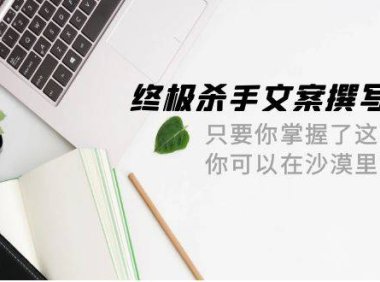 （6301）终极 杀手文案-撰写系统 只要你掌握了这些秘诀 你可以在沙漠里卖沙子-42节