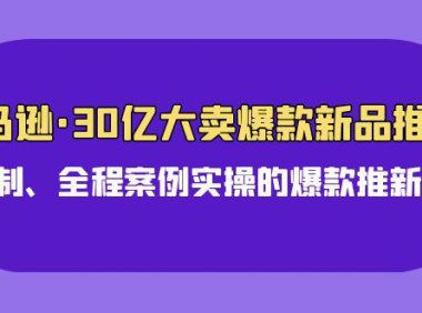 (6303)亚马逊30亿·大卖爆款新品推广,可复制、全程案例实操的爆款推新SOP