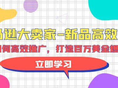 (6304)亚马逊 大卖家-新品高效推广,分享如何高效推广,打造百万美金爆款单品