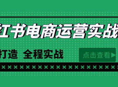 (6305)最新小红书·电商运营实战课,从0打造 全程实战(65节视频课)