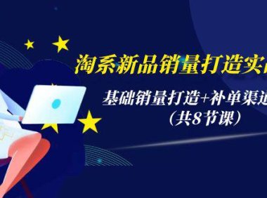 (6309)淘系新品销量打造实战系列,基础销量打造+补单渠道分析(共8节课)