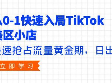 (6310)从0-1快速入局TikTok美区小店,快速抢占流量黄金期,日出千单(9节课)
