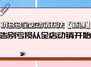 (6313)拼多多全店动销玩法【新课】,告别亏损从全店动销开始(4节视频课)