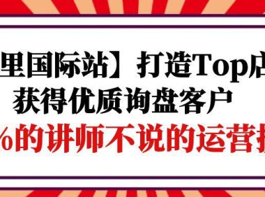(6315)【阿里国际站】打造Top店铺-获得优质询盘客户,95%的讲师不说的运营技巧