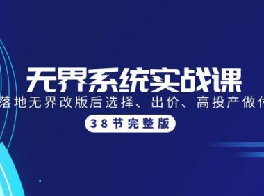 （6317）无界系统实战课：全体系落地无界改版后选择、出价、高投产做付费引流-38节
