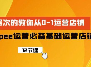 (6318)Shopee-运营必备基础运营店铺打造,多层次的教你从0-1运营店铺
